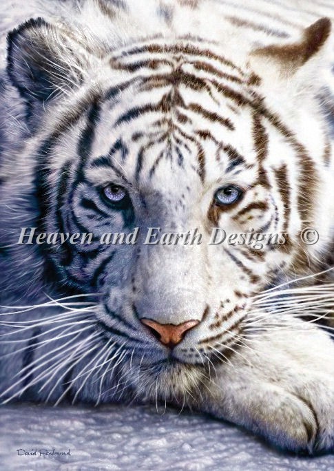 White Tiger - Click Image to Close